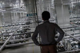 探秘东莞手机工厂 被世界认可的中国工人